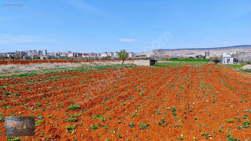 Liva Gayrimenkul'den Çevre Yolun'da İmara Yakın Satılık Arazi — fotoğraf 13