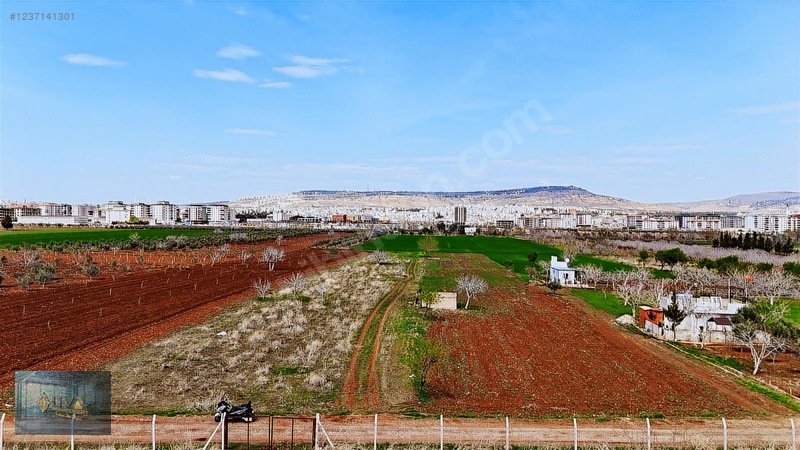 Liva Gayrimenkul'den Çevre Yolun'da İmara Yakın Satılık Arazi — fotoğraf 23