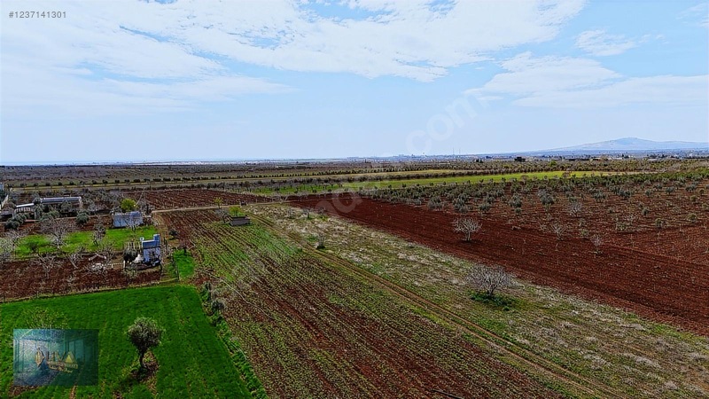 Liva Gayrimenkul'den Çevre Yolun'da İmara Yakın Satılık Arazi — fotoğraf 27