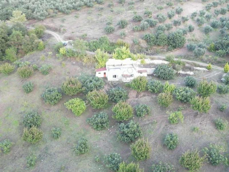 Selçukgazi 7.030 M² Evli Ve Su Kuyulu Fırsat Satılık Tarla — fotoğraf 3
