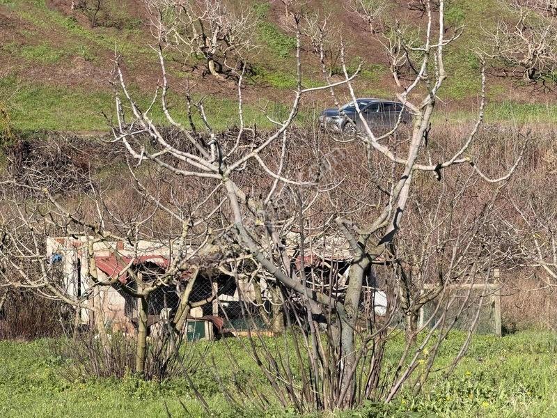 Selçukgazi 7.030 M² Evli Ve Su Kuyulu Fırsat Satılık Tarla — fotoğraf 13