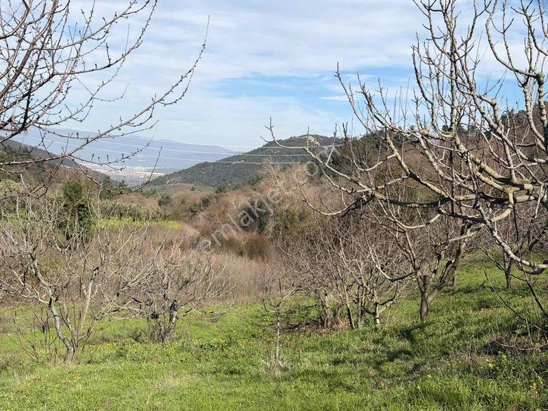 Selçukgazi 7.030 M² Evli Ve Su Kuyulu Fırsat Satılık Tarla — fotoğraf 14