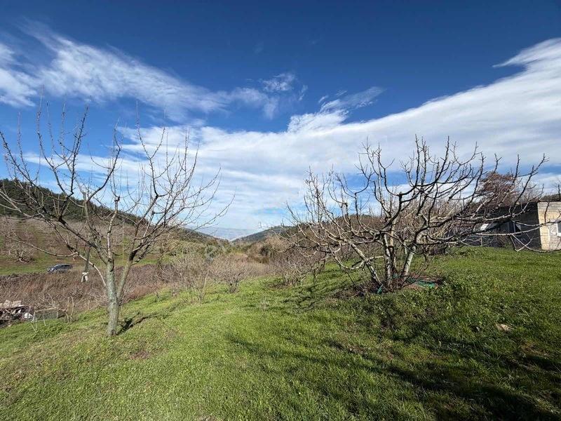 Selçukgazi 7.030 M² Evli Ve Su Kuyulu Fırsat Satılık Tarla — fotoğraf 16