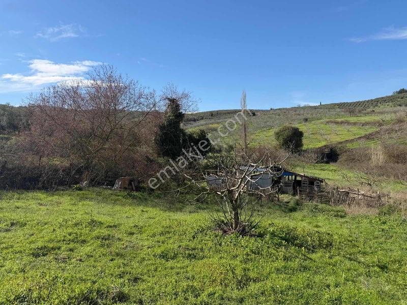 Selçukgazi 7.030 M² Evli Ve Su Kuyulu Fırsat Satılık Tarla — fotoğraf 17