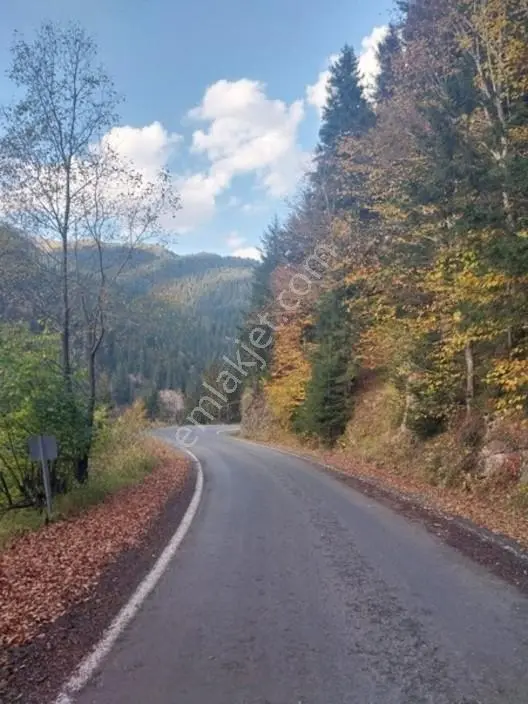 Bulakta Çift Yola Cephe Deniz Manzaralı Villalık Arsa