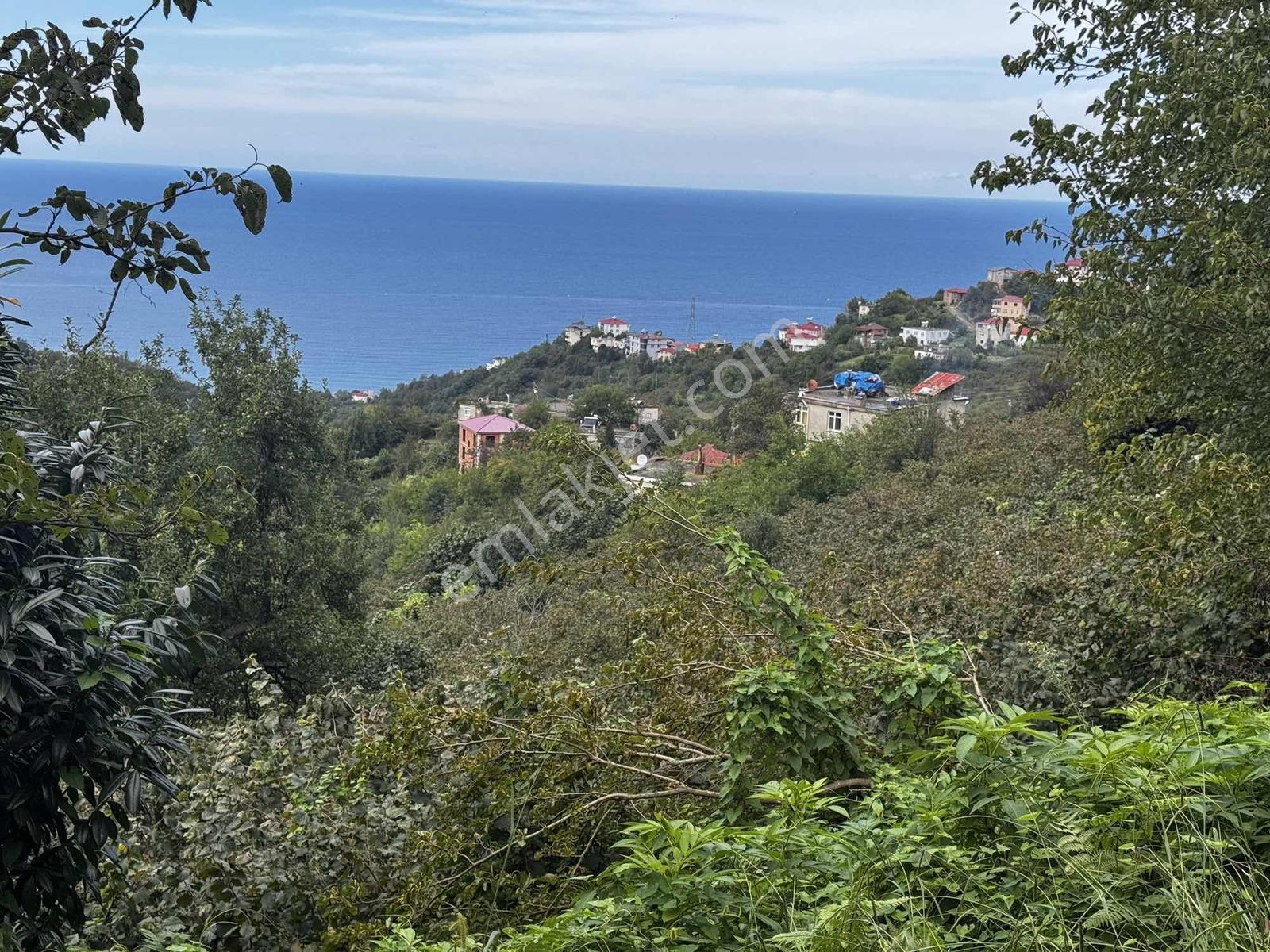 Özgür Emlaktan İki Parsel Deniz Manzaralı Arazi Fındıklık