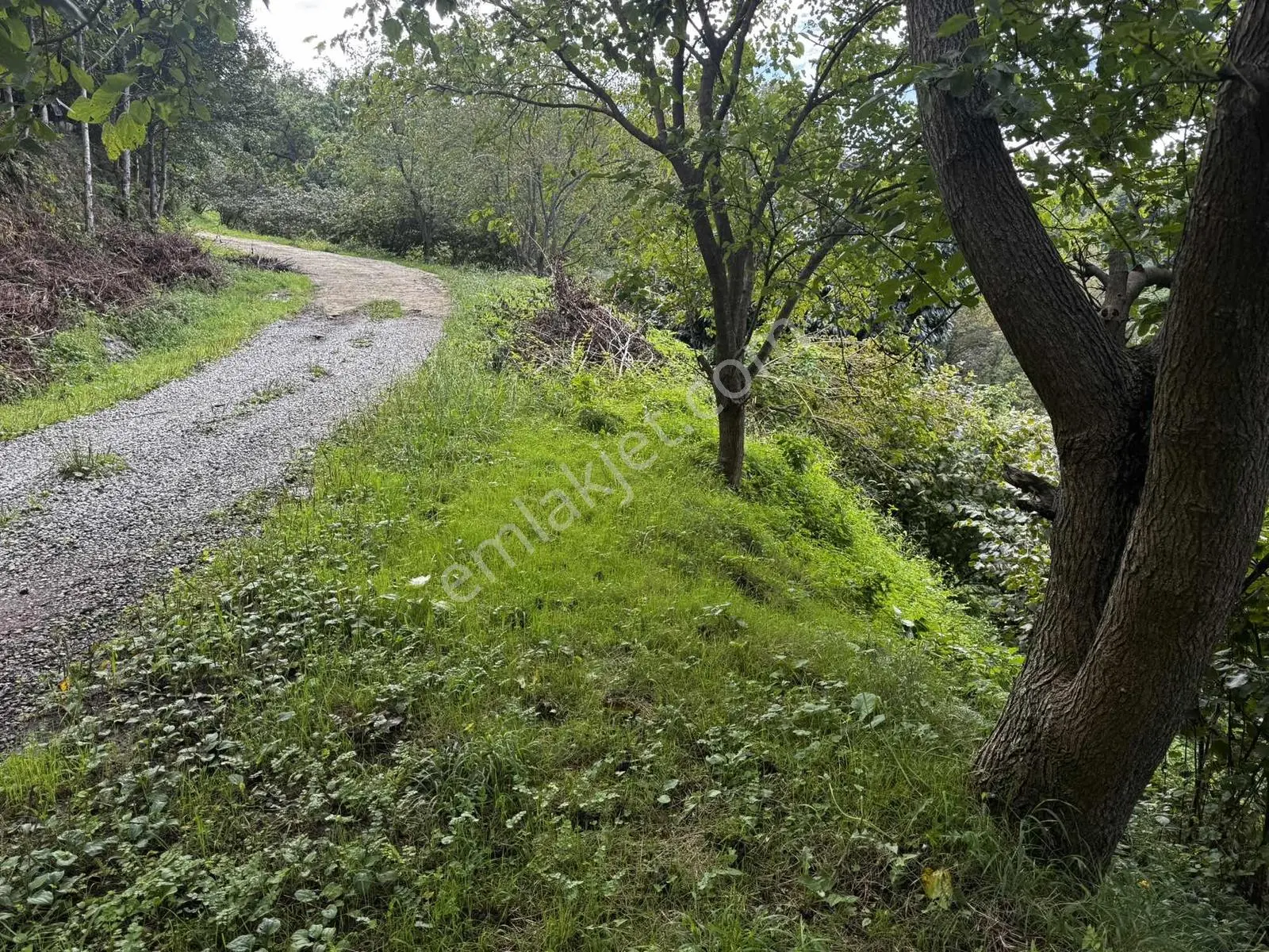 Özgür Emlaktan İki Parsel Deniz Manzaralı Arazi Fındıklık — fotoğraf 2