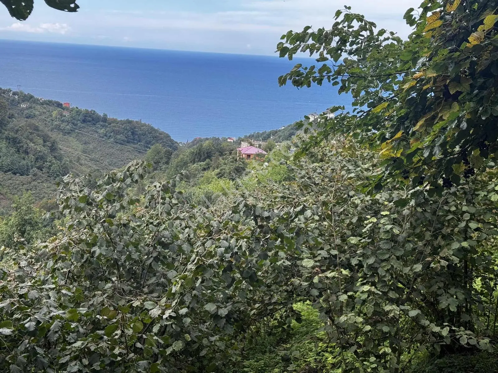 Özgür Emlaktan İki Parsel Deniz Manzaralı Arazi Fındıklık — fotoğraf 11