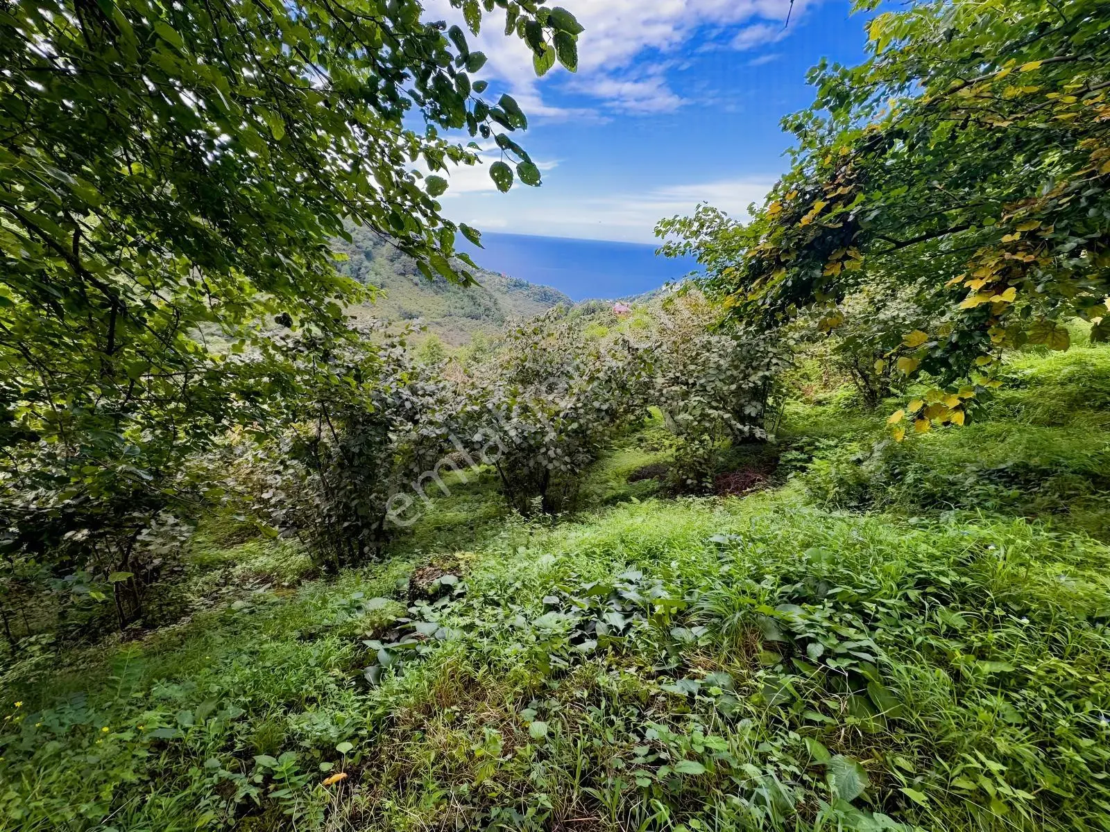 Özgür Emlaktan İki Parsel Deniz Manzaralı Arazi Fındıklık — fotoğraf 17