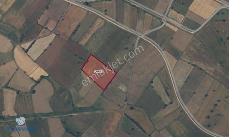 Çanakkale Biga Pekmezli Köyünde 9.151 M² Satılık Tarla