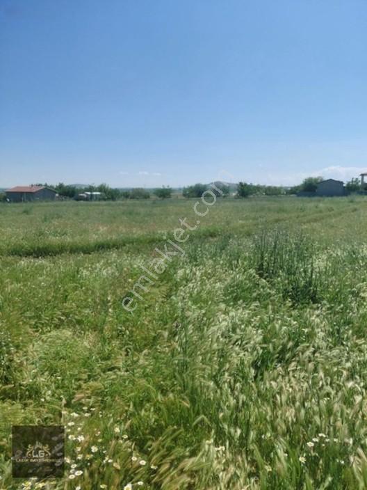 Ladik Mah İstanbul Yoluna 280 Mt Mesafede Müstakil Bahçe Arsası — fotoğraf 2