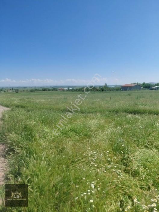 Ladik Mah İstanbul Yoluna 280 Mt Mesafede Müstakil Bahçe Arsası — fotoğraf 4