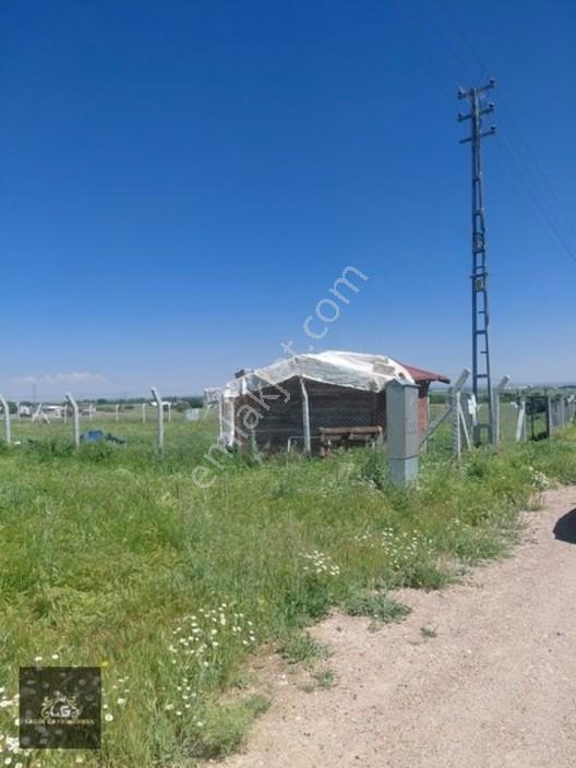 Ladik Mah İstanbul Yoluna 280 Mt Mesafede Müstakil Bahçe Arsası — fotoğraf 8