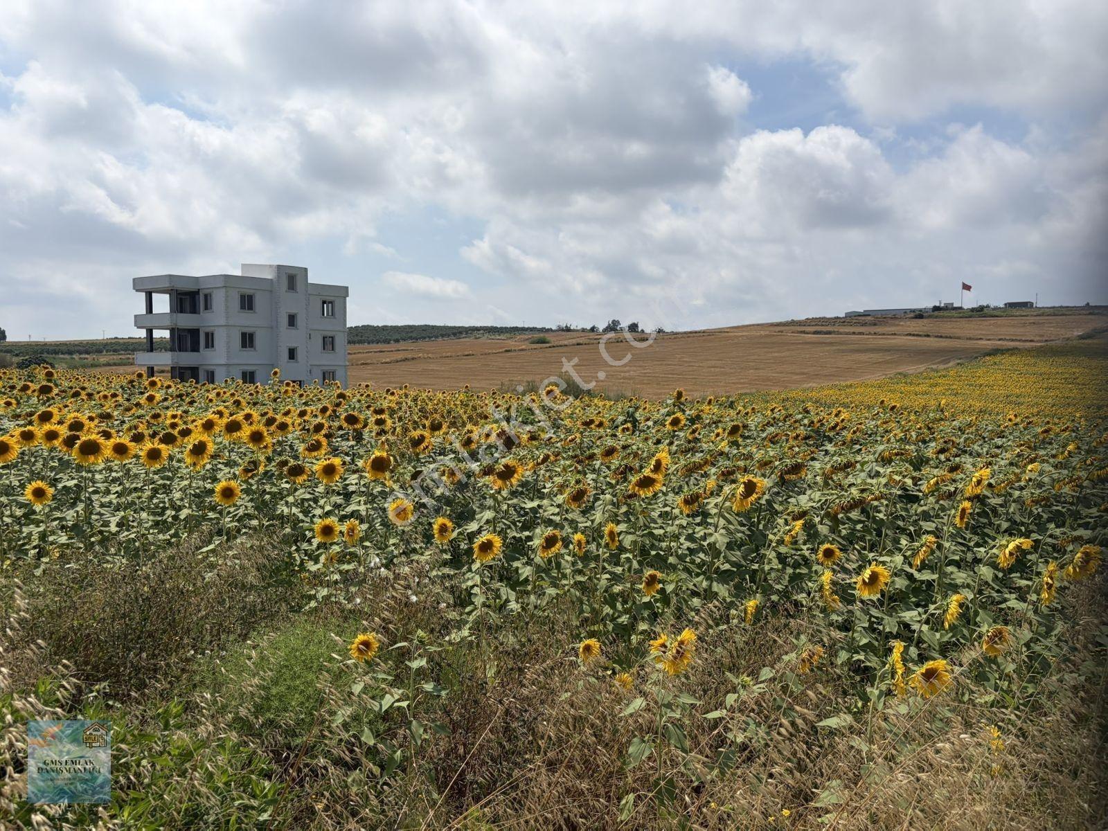 Karataş’ta Yeni Yerleşim Bölgesi Satılık Eşsiz 362 Ve 373m² Mükemmel Kaçmaz Satılık Arsalar — fotoğraf 4