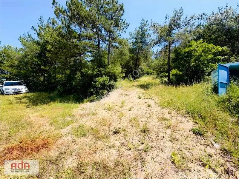 Sakarya Geyve Ilıca Mah. Yerleşime Yakın Satılık 5050 M² Arazi — fotoğraf 4