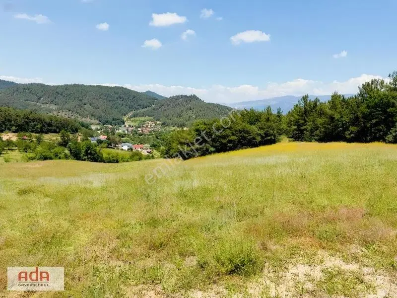 Sakarya Geyve Ilıca Mah. Yerleşime Yakın Satılık 5050 M² Arazi — fotoğraf 6