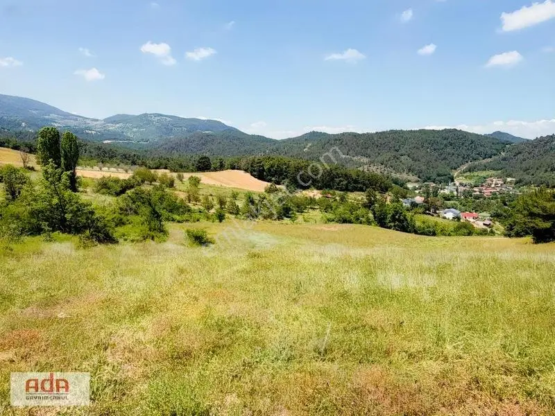Sakarya Geyve Ilıca Mah. Yerleşime Yakın Satılık 5050 M² Arazi — fotoğraf 10