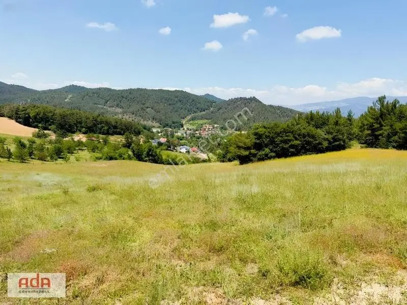 Sakarya Geyve Ilıca Mah. Yerleşime Yakın Satılık 5050 M² Arazi — fotoğraf 13