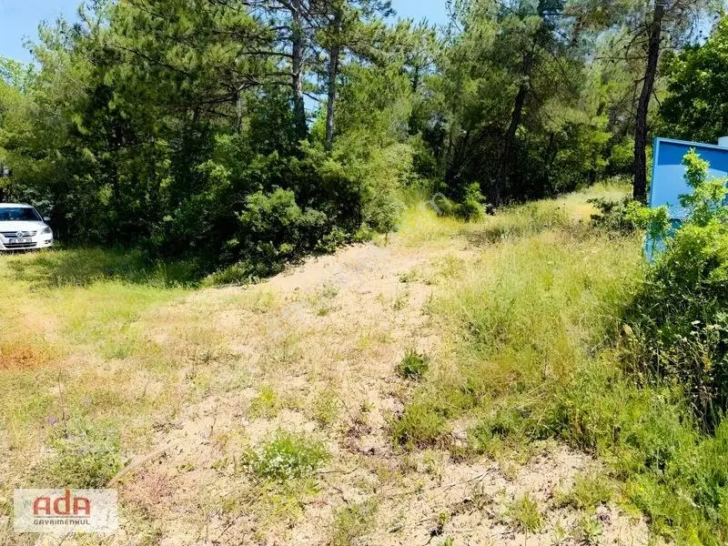 Sakarya Geyve Ilıca Mah. Yerleşime Yakın Satılık 5050 M² Arazi — fotoğraf 17