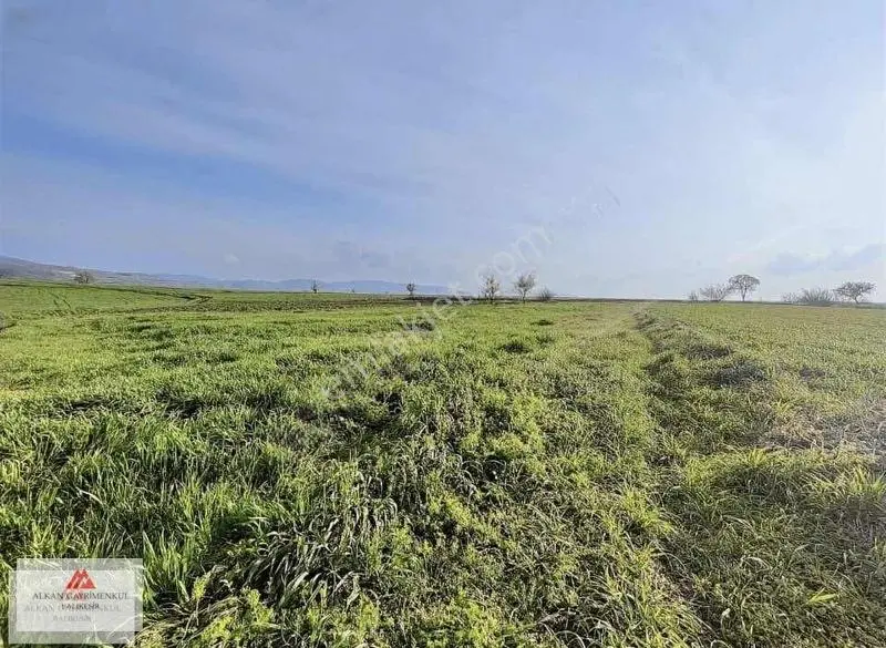 Merkeze 20 Dakika Selimiye Baraj Manzaralı 2250 M2 Hobilik Tarla — fotoğraf 3