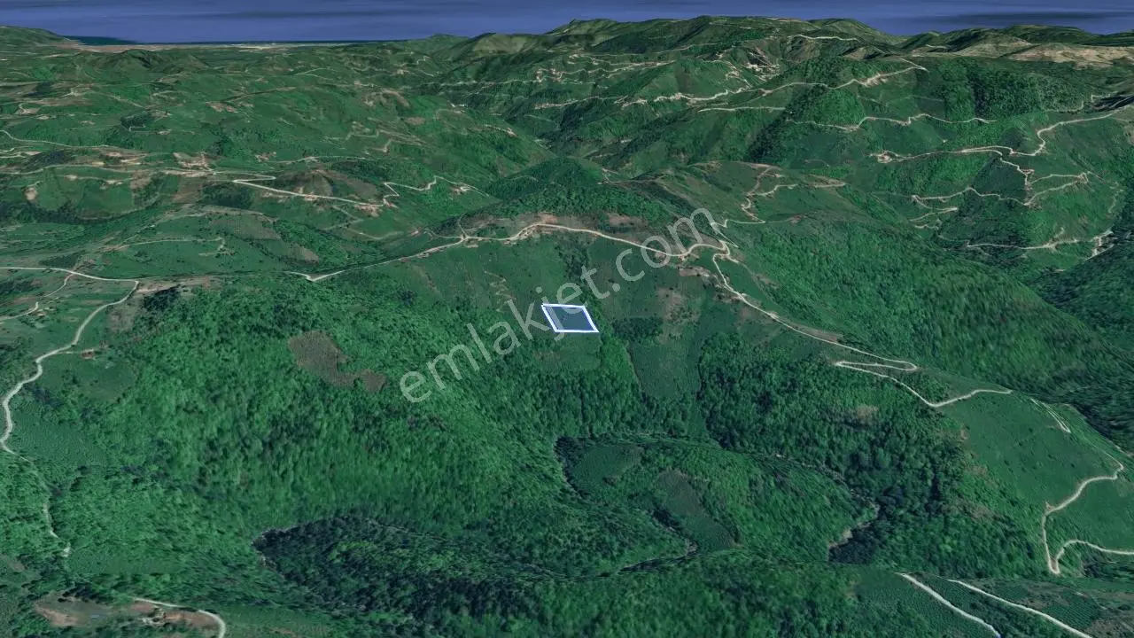 Kabadüz Yokuşdibi'Nde 7771 M² Fındık Bahçesi