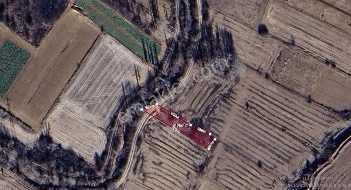 Konya Ilgın Geçit Köyün’de Mustakil Satılık Süper Konum Bahçelik Cazip Arsa — fotoğraf 2