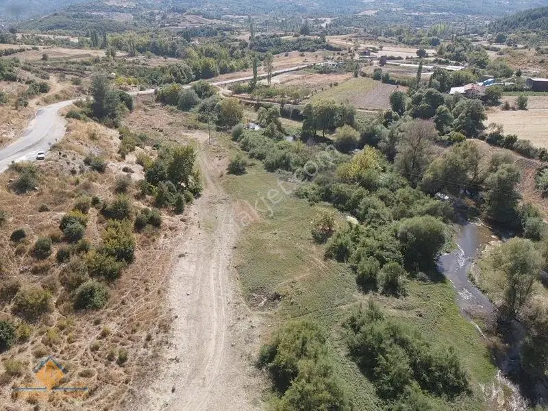 Balıkesir Sındırgı Pürsünler Mh Satılık Hobi Bahçesi — fotoğraf 11