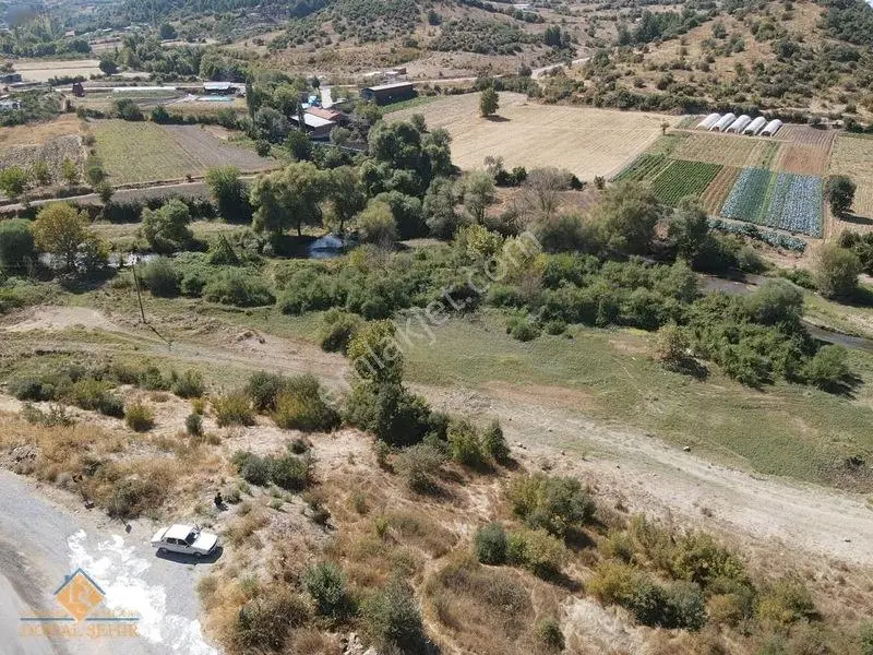 Balıkesir Sındırgı Pürsünler Mh Satılık Hobi Bahçesi — fotoğraf 14