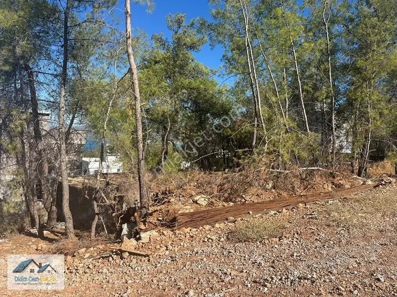Full Deniz Ve Orman Manzaralı Satılık 288 M2 Arsa — fotoğraf 28