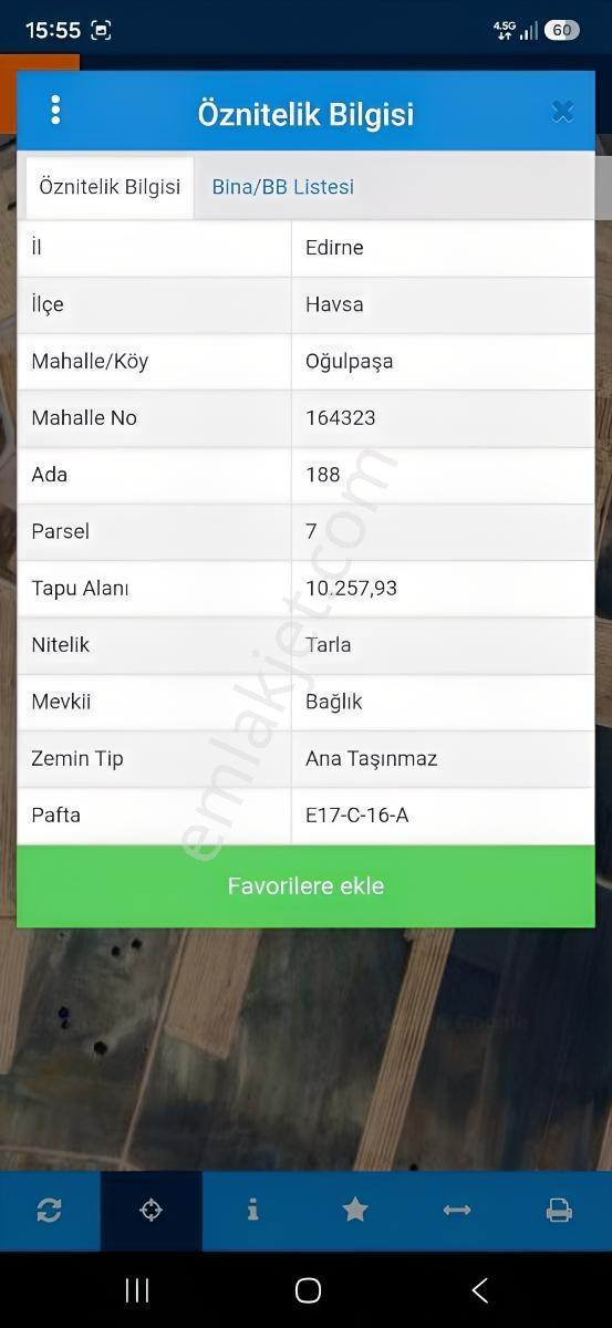 Buluruzdan Oğulpaşa Köyü Bağlık Mevkii Satılık 10 Dönüm Tarla — fotoğraf 3