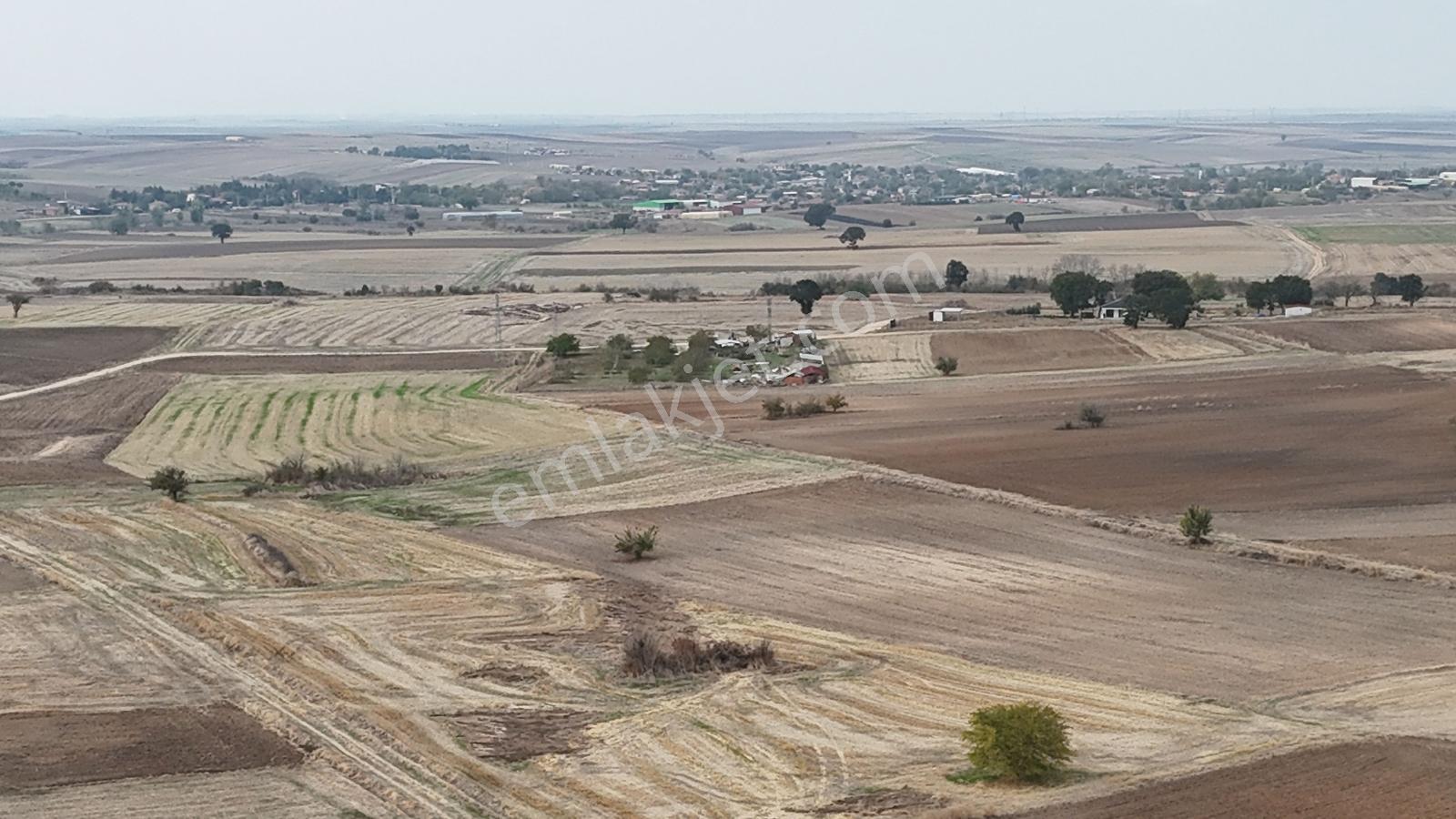 Buluruzdan Oğulpaşa Köyü Bağlık Mevkii Satılık 10 Dönüm Tarla — fotoğraf 8