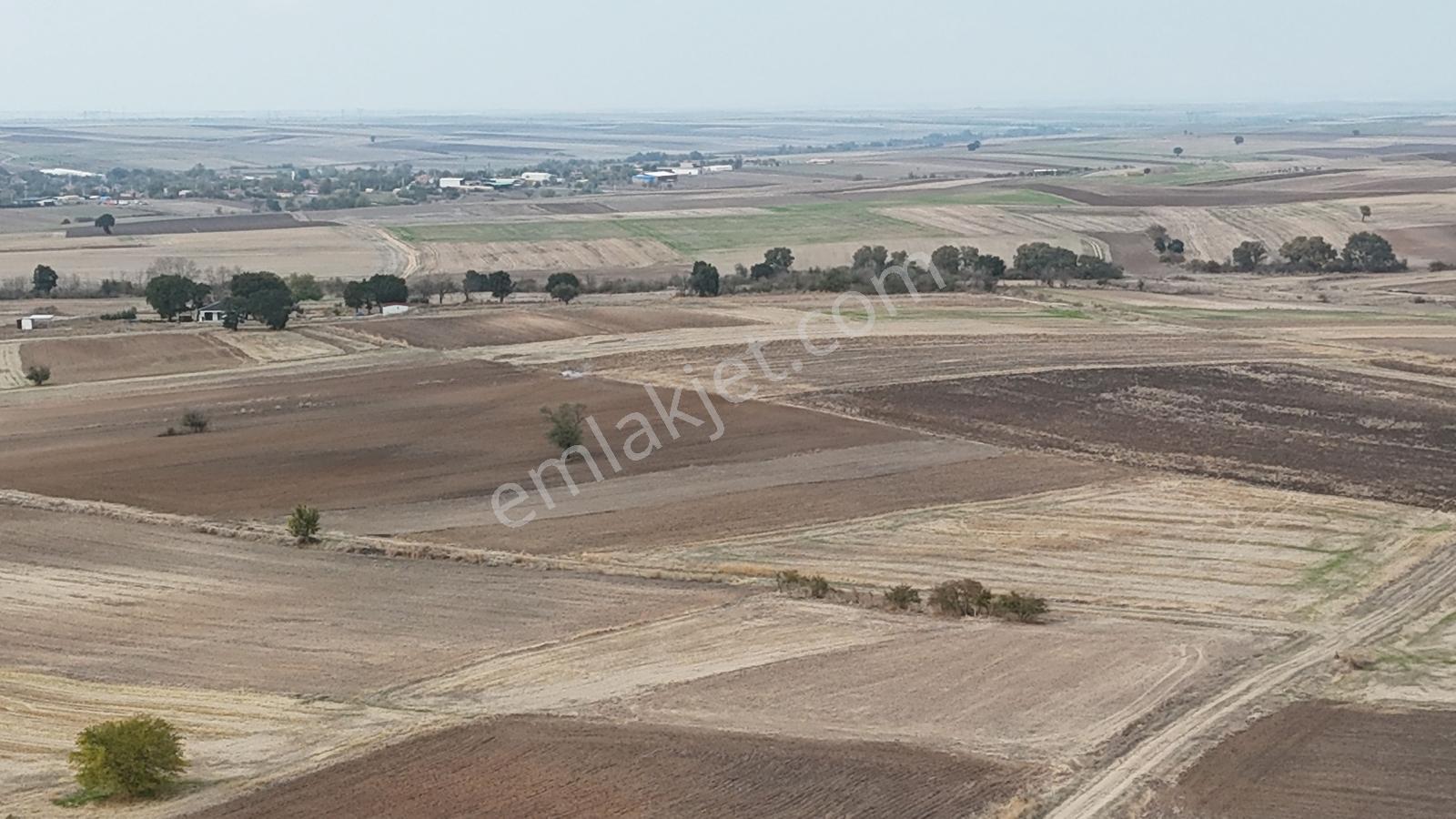 Buluruzdan Oğulpaşa Köyü Bağlık Mevkii Satılık 10 Dönüm Tarla — fotoğraf 9