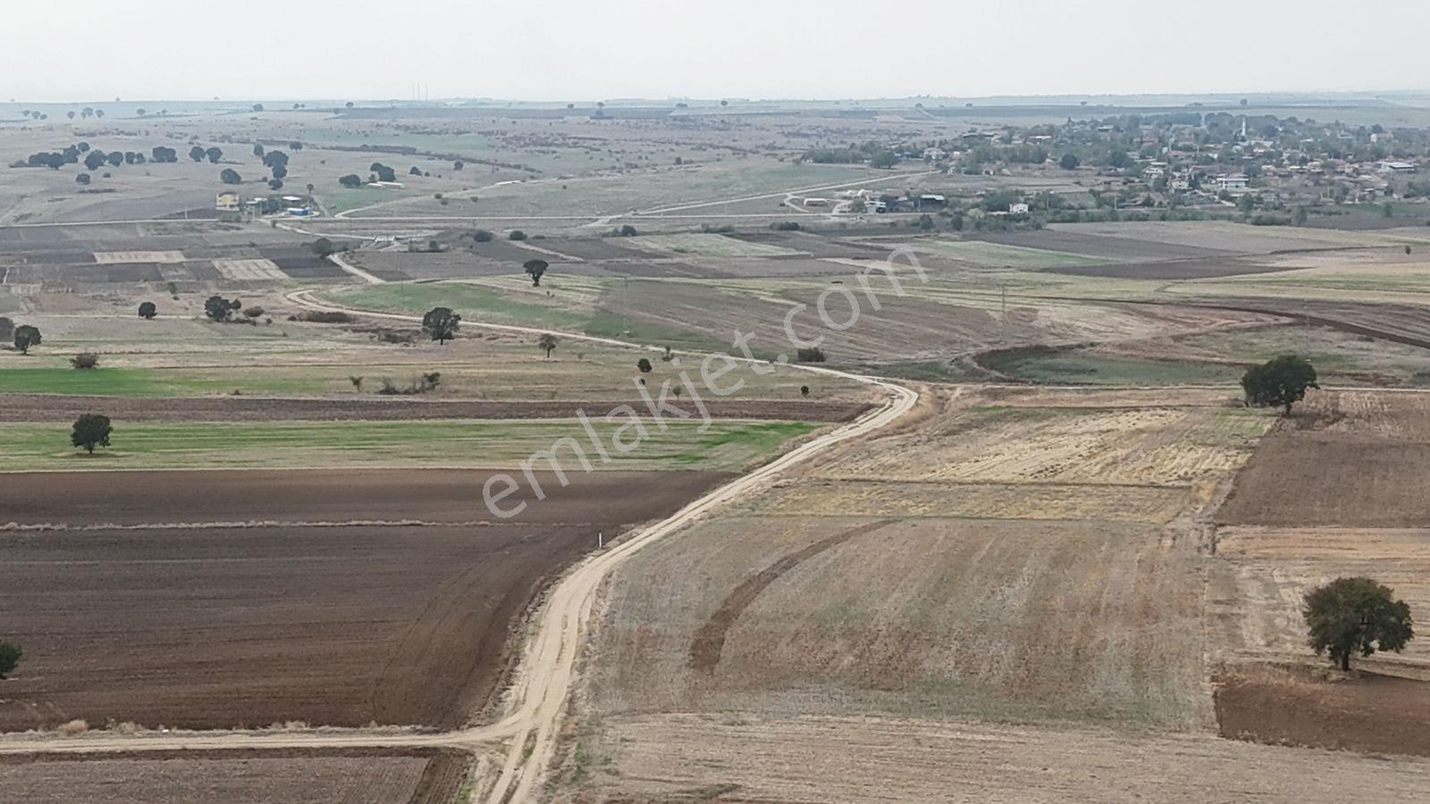 Buluruzdan Oğulpaşa Köyü Bağlık Mevkii Satılık 10 Dönüm Tarla — fotoğraf 15