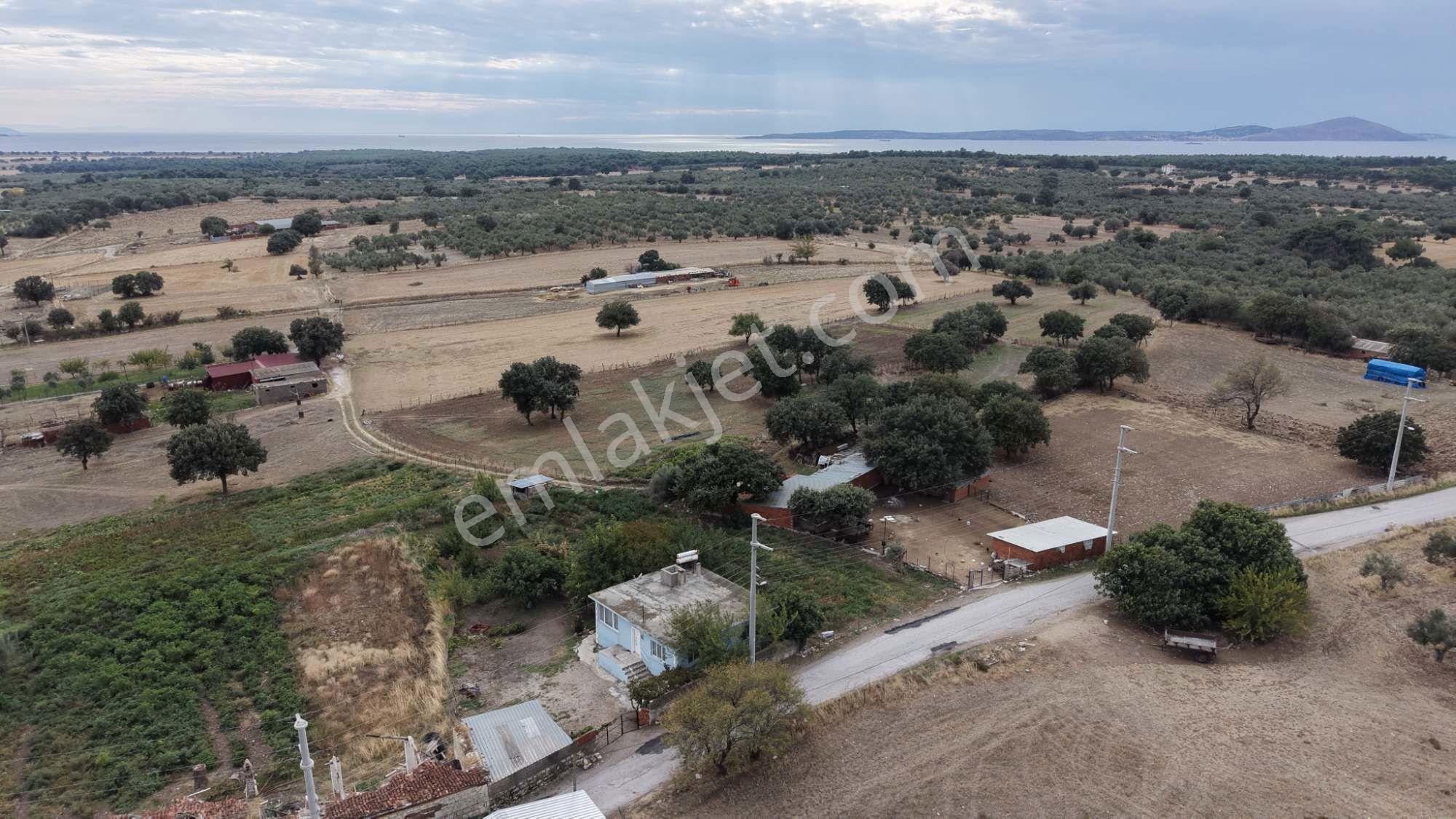 Çanakkale Ezine Kumburun Köyü'nde 703 M2 Arsa — fotoğraf 15