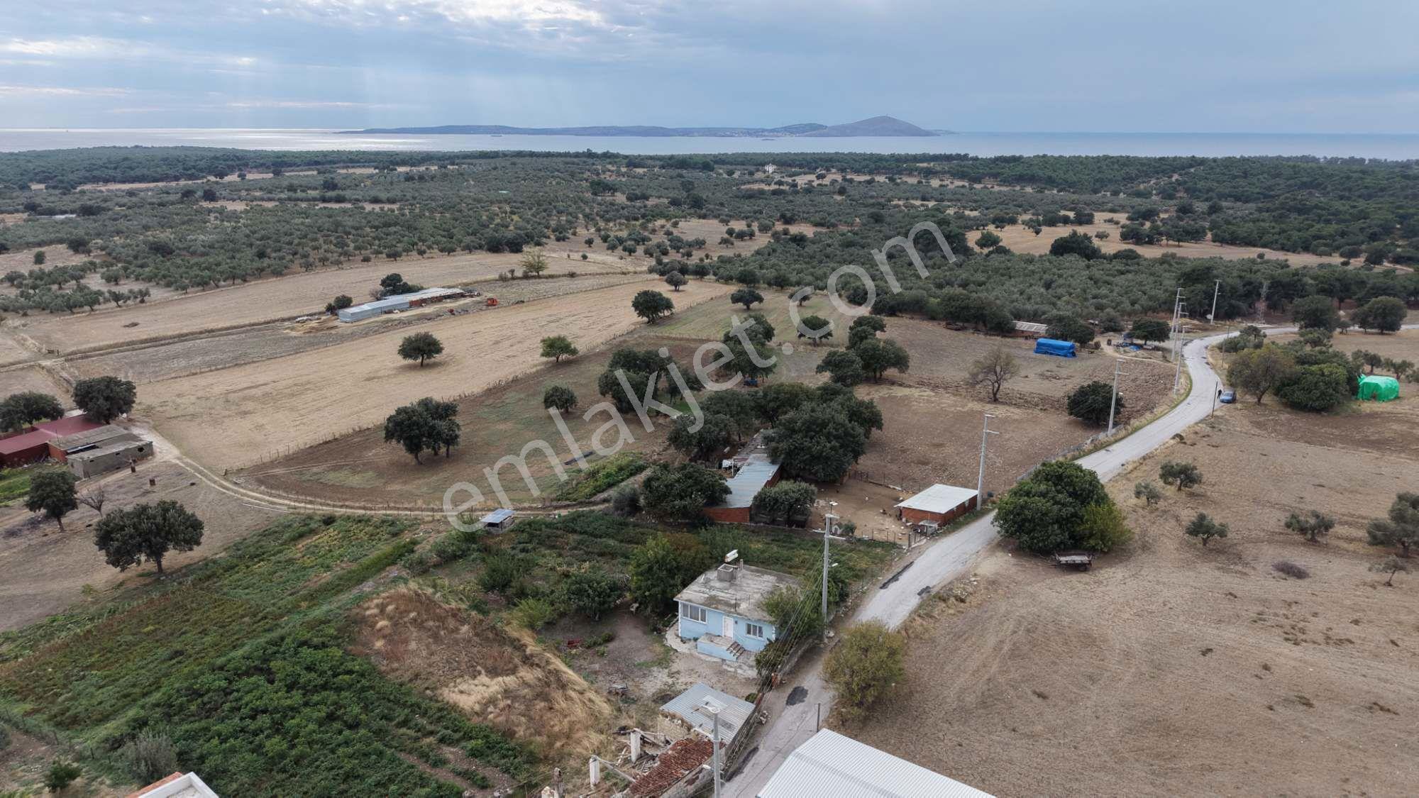 Çanakkale Ezine Kumburun Köyü'nde 703 M2 Arsa — fotoğraf 16
