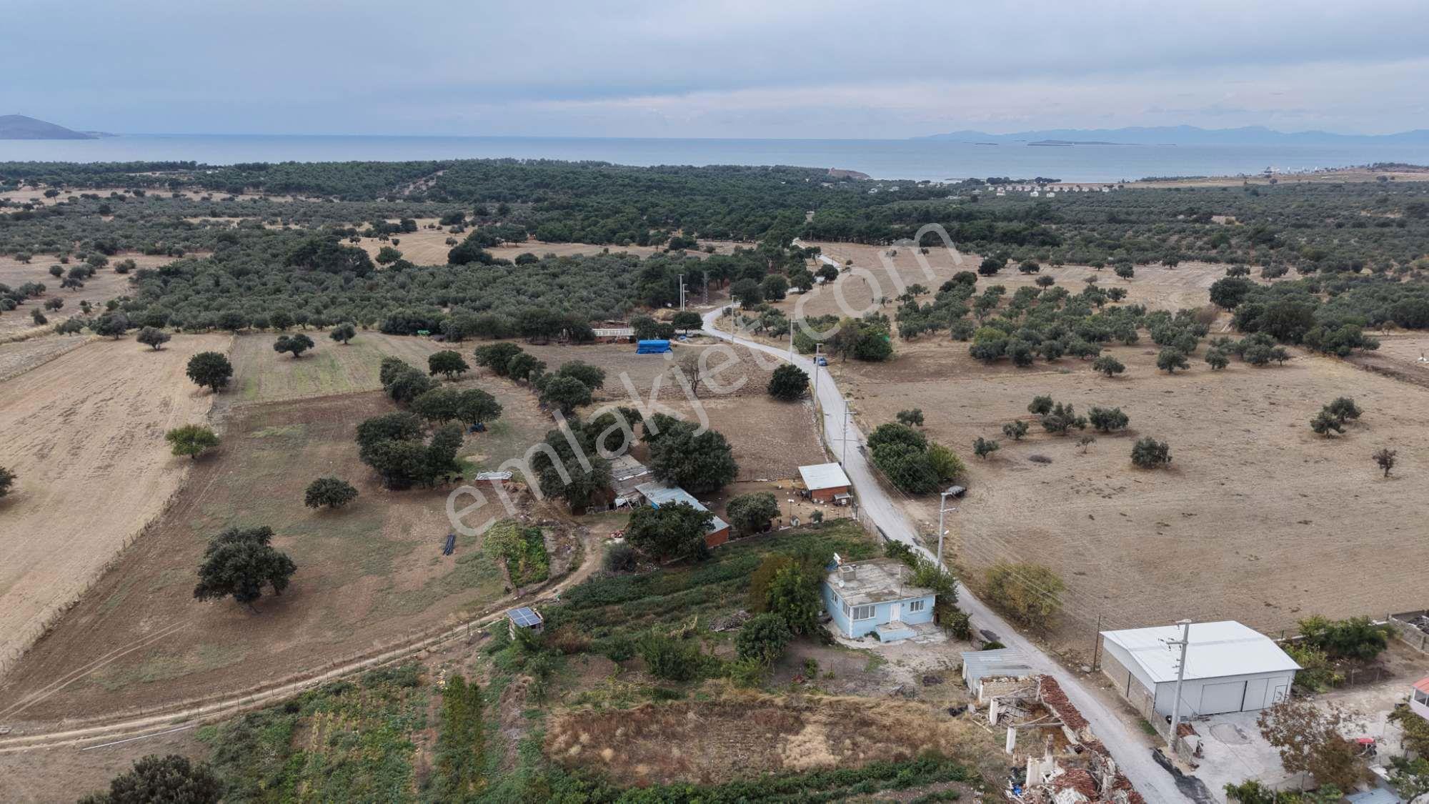 Çanakkale Ezine Kumburun Köyü'nde 703 M2 Arsa — fotoğraf 17