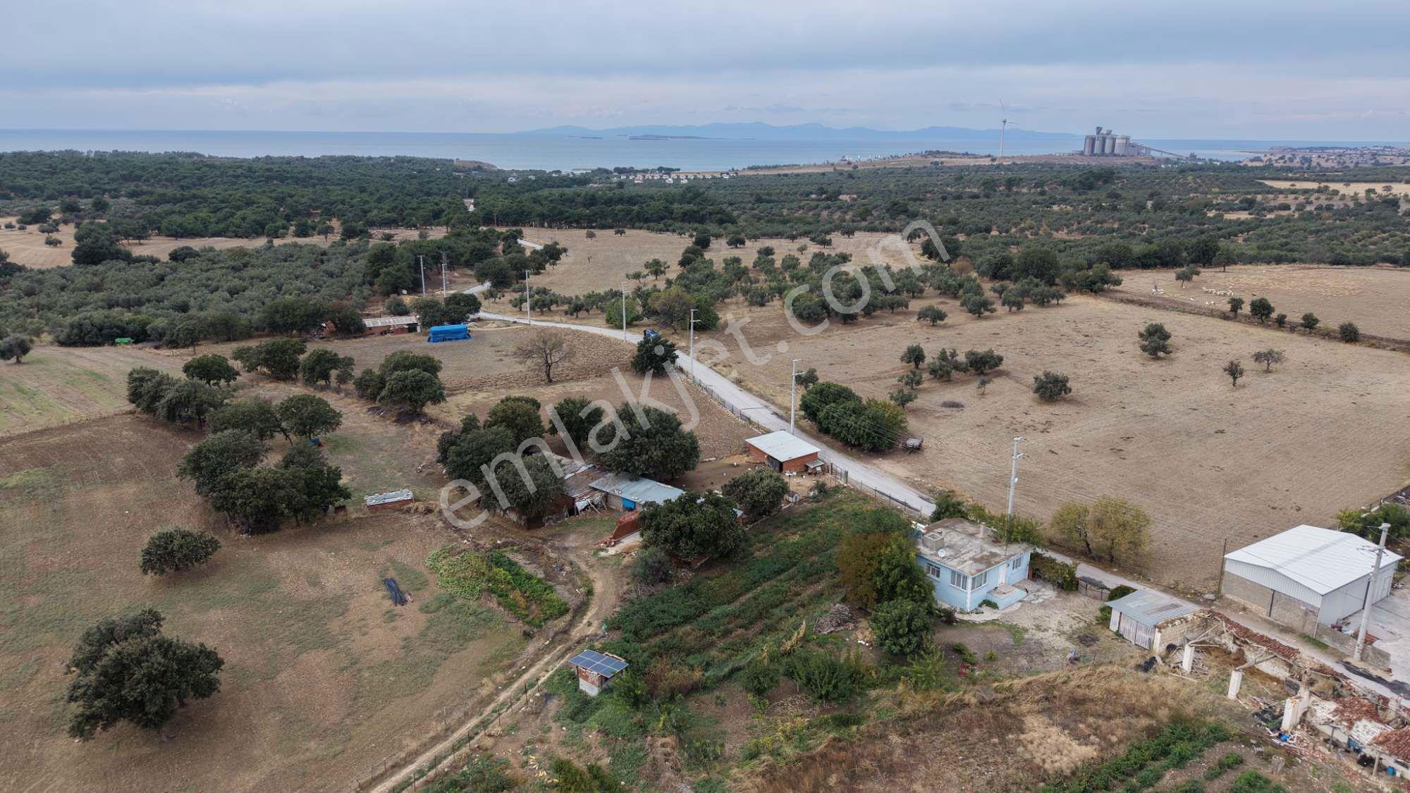 Çanakkale Ezine Kumburun Köyü'nde 703 M2 Arsa — fotoğraf 18