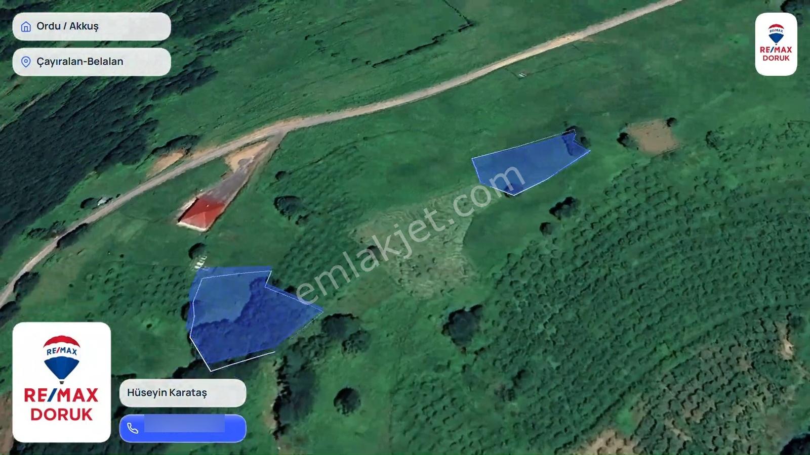 Akkuş Çayıralan/belalan'da 2 Adet Satılık Tarla - Toplam 1460 M² — fotoğraf 2