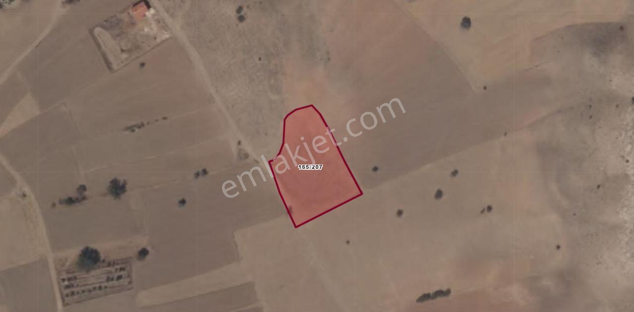 Konya Meram Güneydere Mahallesinde 3.750 M² Müstakil Tapulu Tarla — fotoğraf 2
