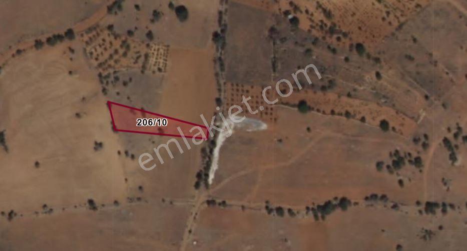 Bozkır Yelbeği Mahallesi’nde 1.032 M² Müstakil Tapulu Tarla – Yola Sıfır Yatırım Fırsatı — fotoğraf 2