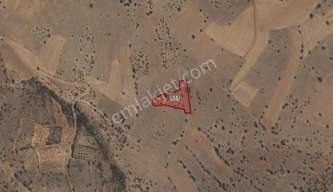 Konya Akören Belkuyu Mahallesinde 4.134 M² Müstakil Tapulu Tarla