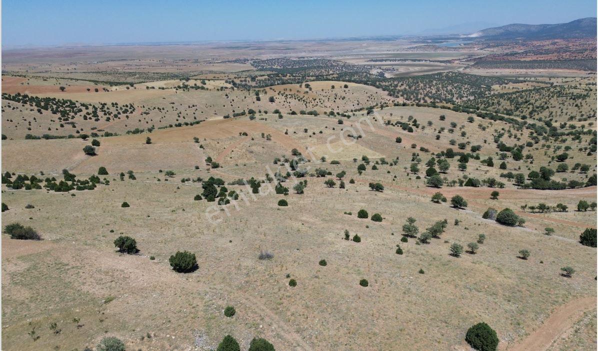 Konya Akören Belkuyu Mahallesinde 4.134 M² Müstakil Tapulu Tarla — fotoğraf 2