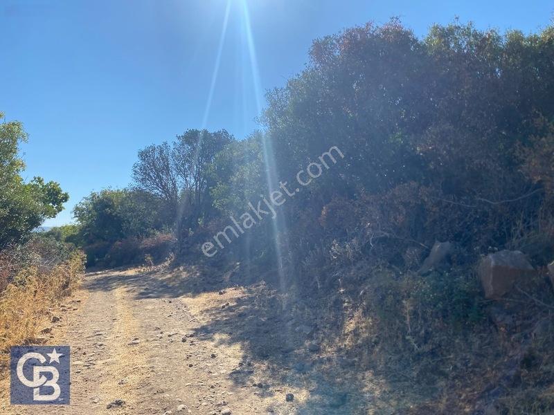 Cb Odak'tan Karakuzu'da Yola Cepheli 4.530 M2 Satılık Tarla — fotoğraf 2