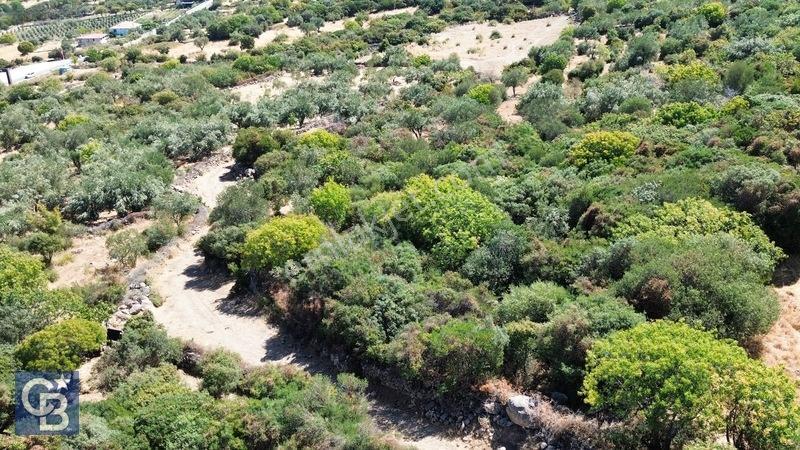 Cb Odak'tan Karakuzu'da Yola Cepheli 4.530 M2 Satılık Tarla — fotoğraf 3