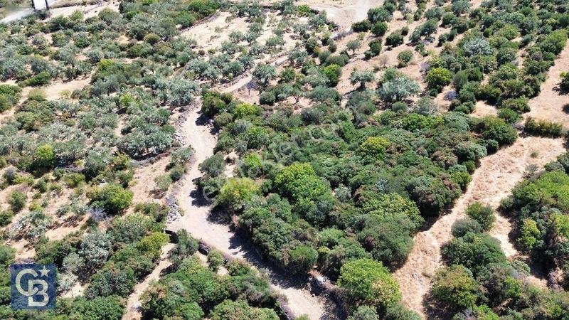 Cb Odak'tan Karakuzu'da Yola Cepheli 4.530 M2 Satılık Tarla — fotoğraf 4