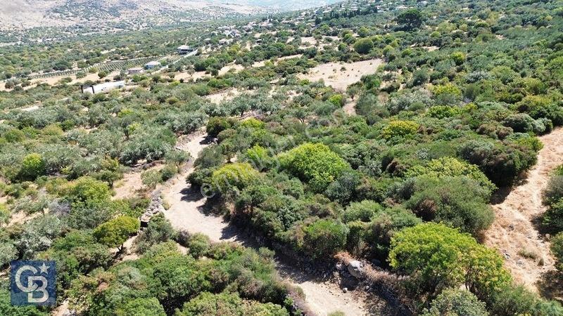 Cb Odak'tan Karakuzu'da Yola Cepheli 4.530 M2 Satılık Tarla — fotoğraf 5