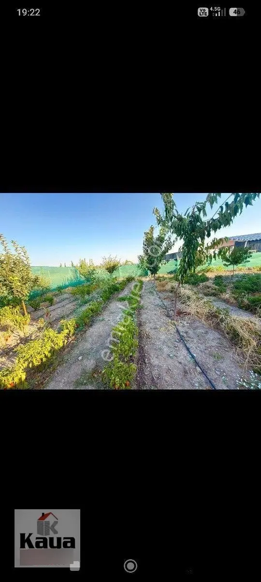 Kaya Emlaktan Merzifon'dabungalov Bağ Bahçe — fotoğraf 25