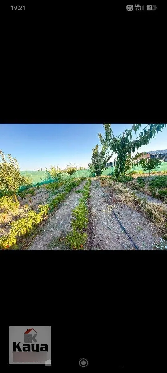 Kaya Emlaktan Merzifon'dabungalov Bağ Bahçe — fotoğraf 27