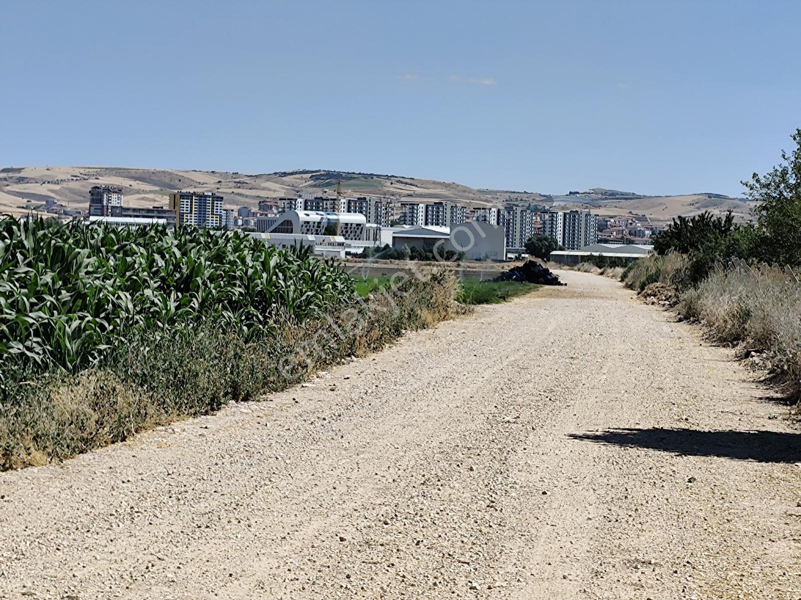 Esenboğa Yolu Yakını İmara Yakın Yüksek Kazanç Potansiyeli Tarla