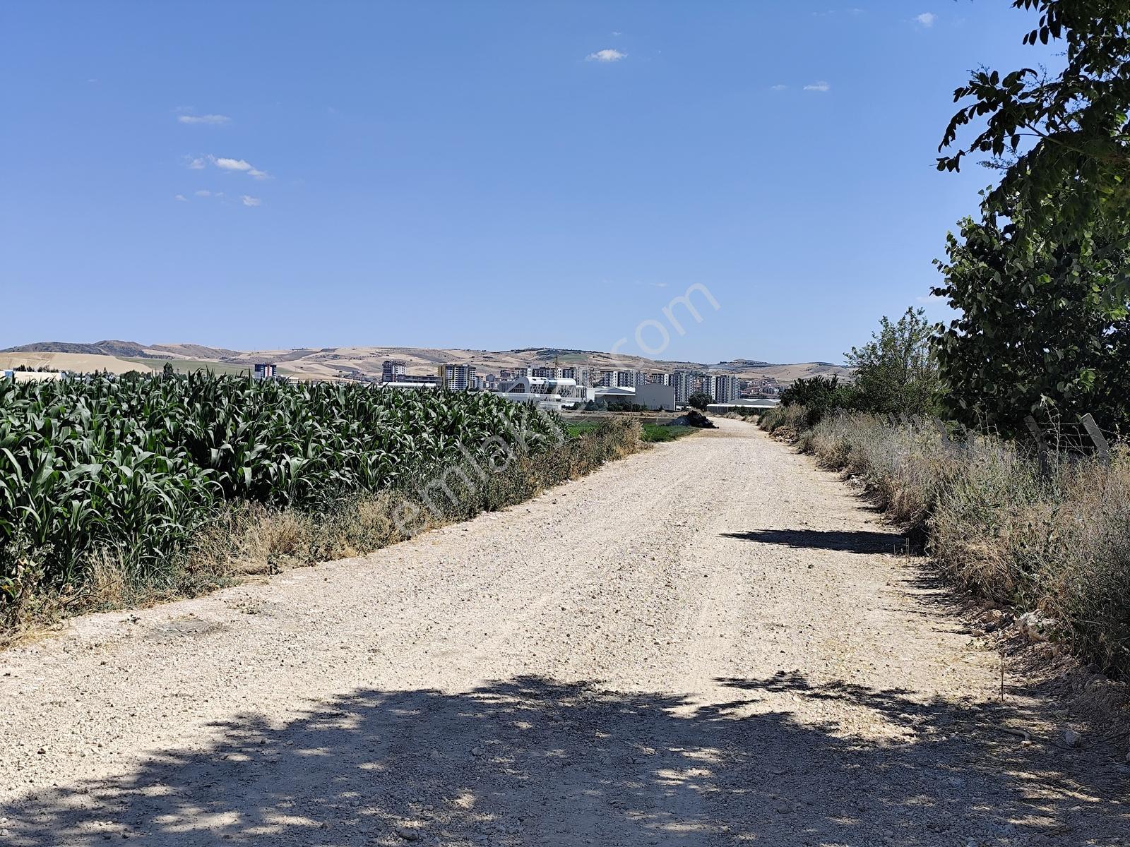 Esenboğa Yolu Yakını İmara Yakın Yüksek Kazanç Potansiyeli Tarla — fotoğraf 3